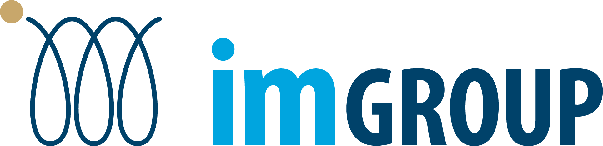 IM Group Logo